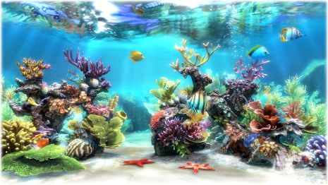 free virtual aquarium screensaver